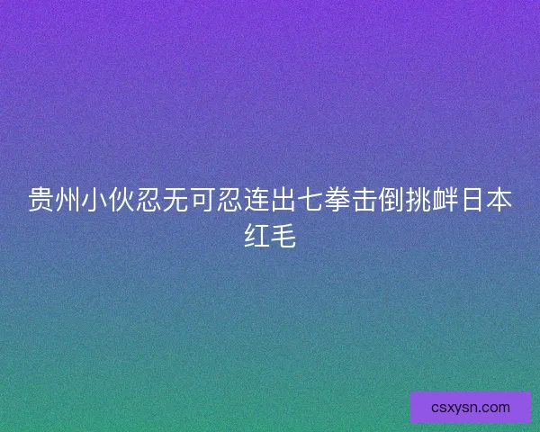 贵州小伙忍无可忍连出七拳击倒挑衅日本红毛
